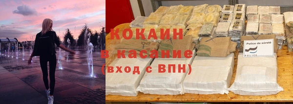 прущие грибы Богородск