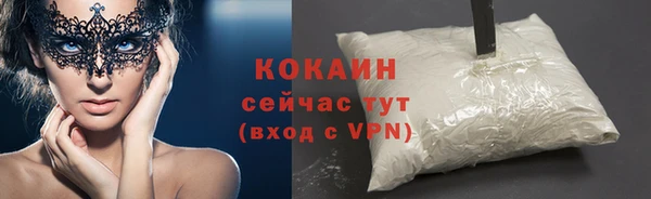 шишки Богданович