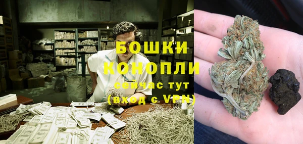 прущие грибы Богородск