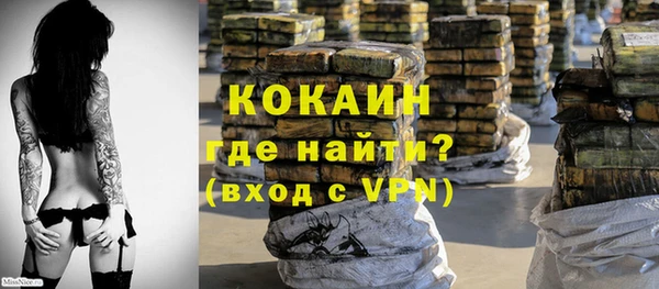 шишки Богданович