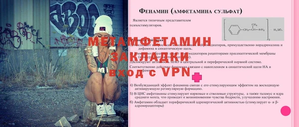 прущие грибы Богородск