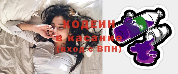 прущие грибы Богородск