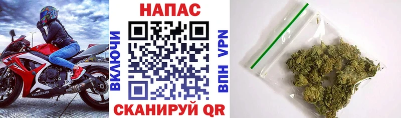 Конопля White Widow  Славянск-на-Кубани 